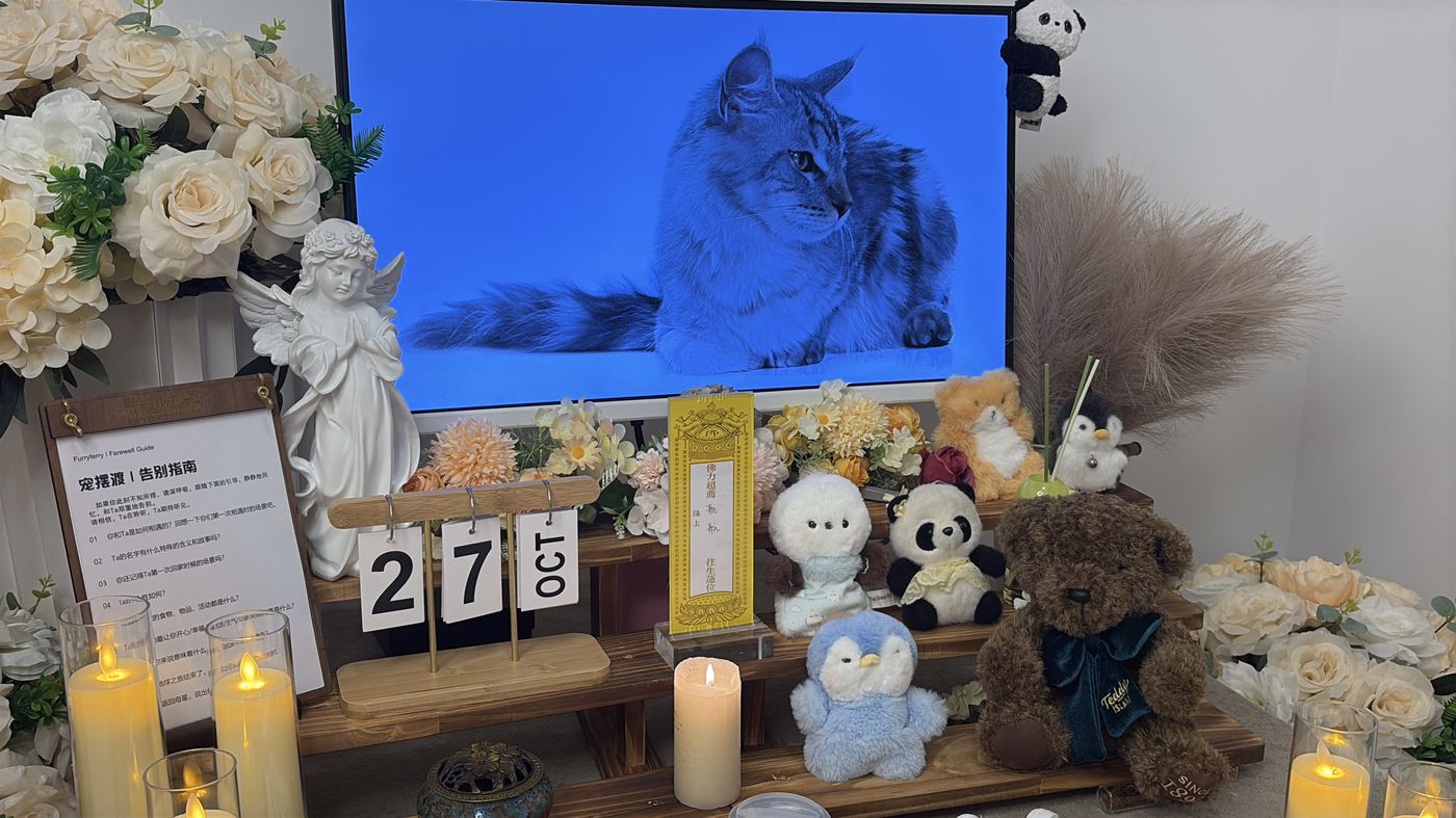 那些需要留意的征兆